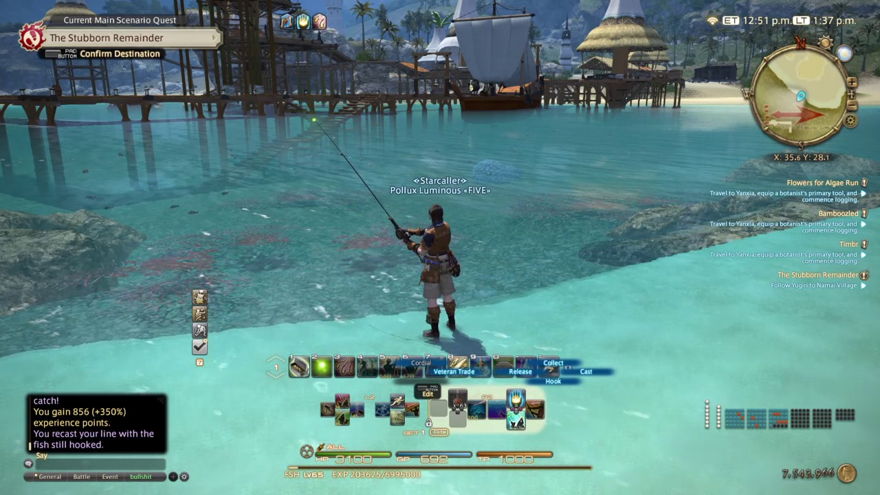 FFXIV CASTAWAY CHOCOBO CHICK