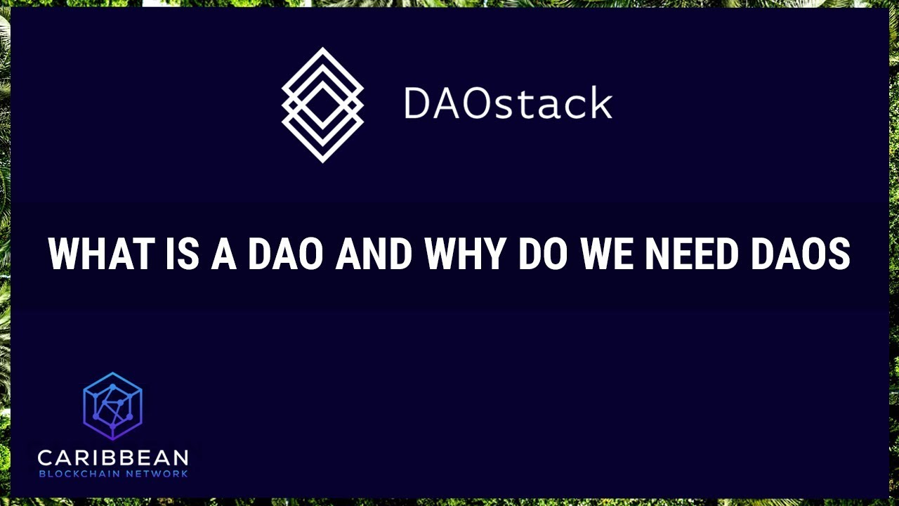 What is a DAO and why do we need DAOs? - DAOstack interview