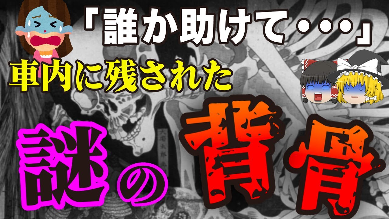 【ゆっくり解説】車に残された背骨と肋骨。最後にはまさかの結末が…中国自動車道で発生した最悪の交通事故「境トンネル多重衝突火災事故」