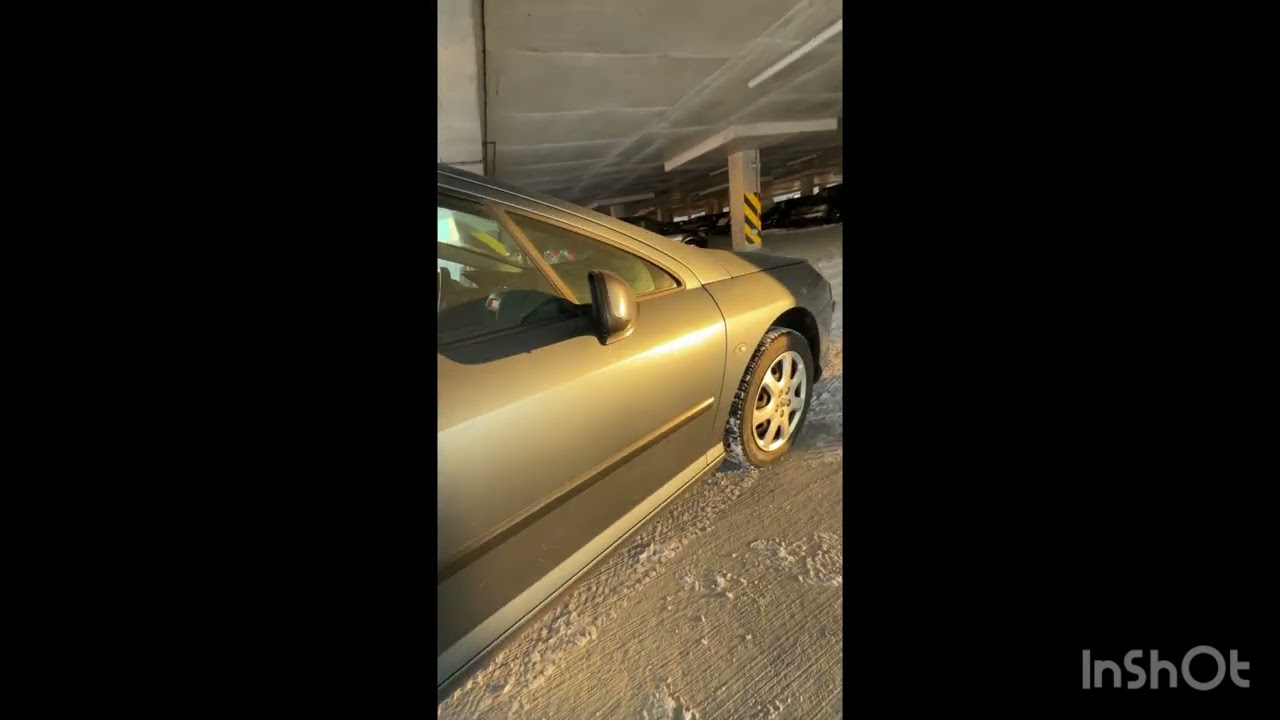 6 января 2026 г.