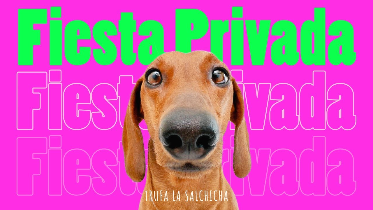 VOY a una fiesta PRIVADA!😎💖