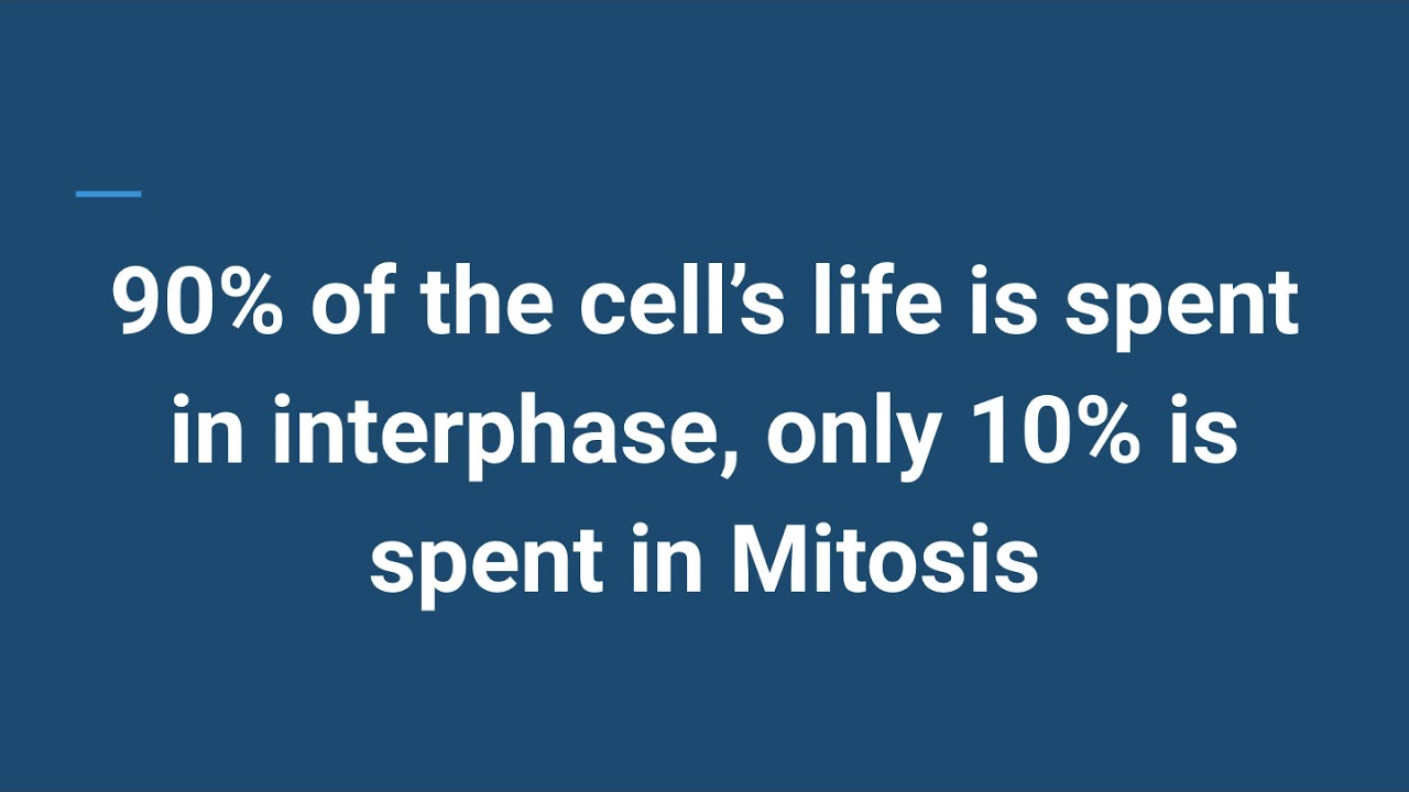 Cell Cycle and Cancer
