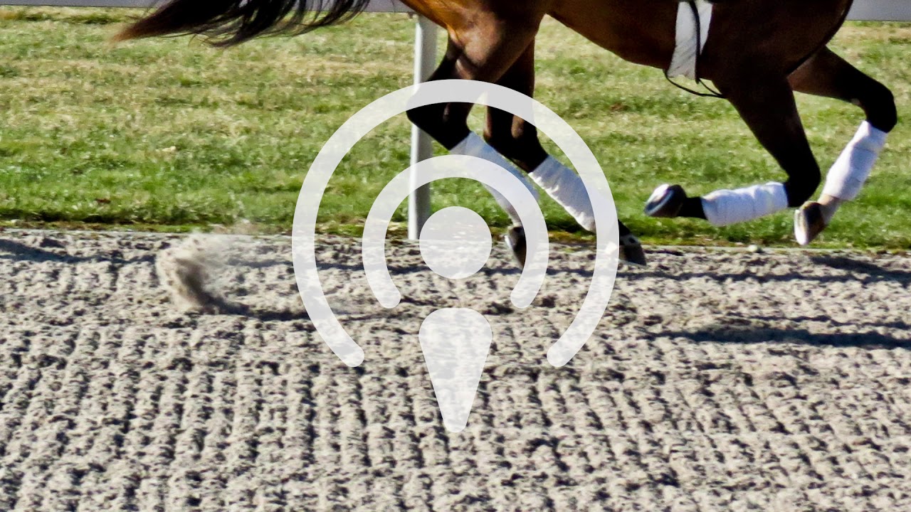 Podcast (audio only): Mysterious racehorse injuries, and reforming the U.S. bail system