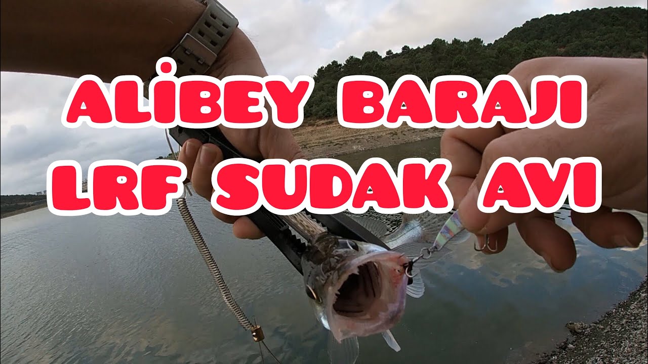 ‼️ LRF SUDAK AVI ‼️ İSTANBUL ALİBEY BARAJI ‼️