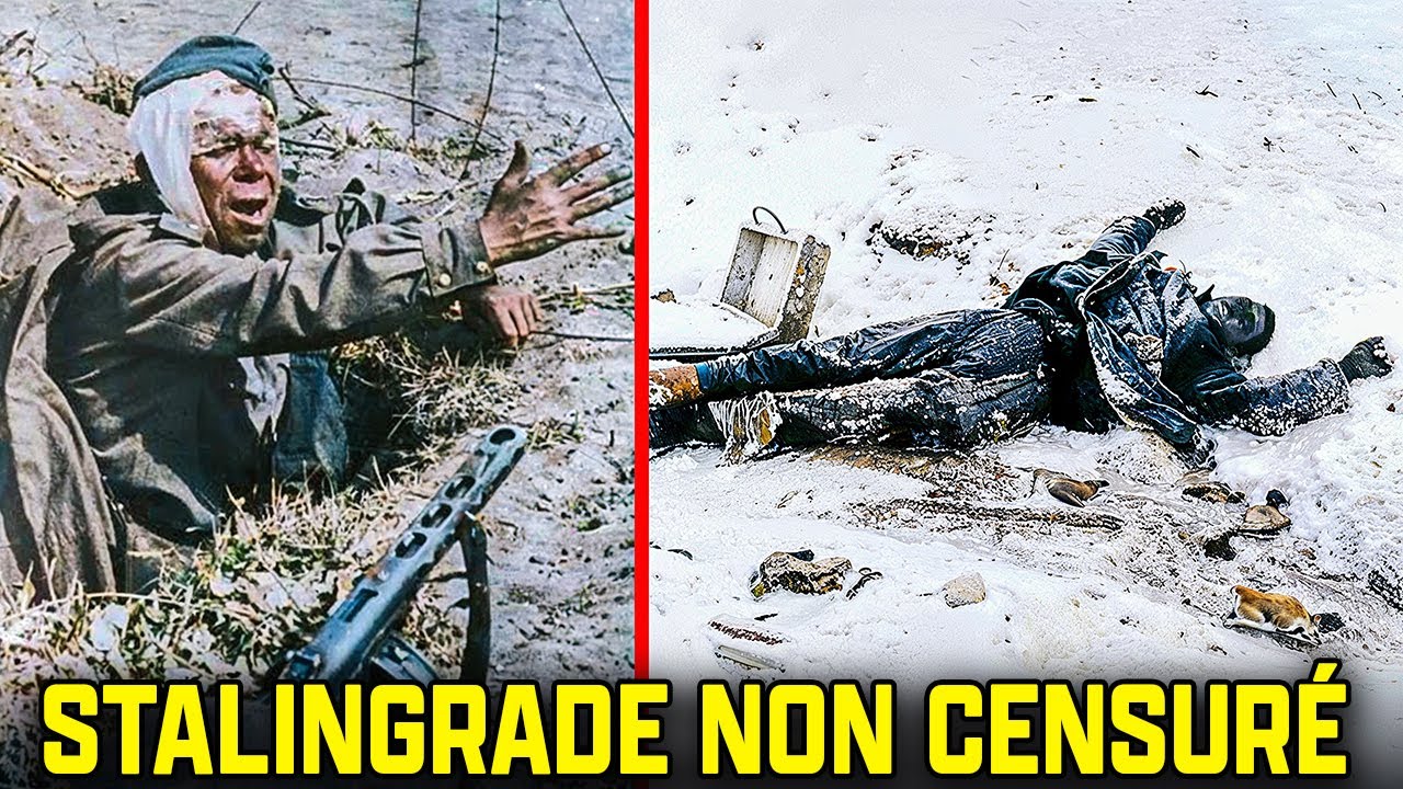 Stalingrad Sans Censure | Le Jour Où L’Armée D’Hitler Est Tombée | Documentaire En PURE COULEUR