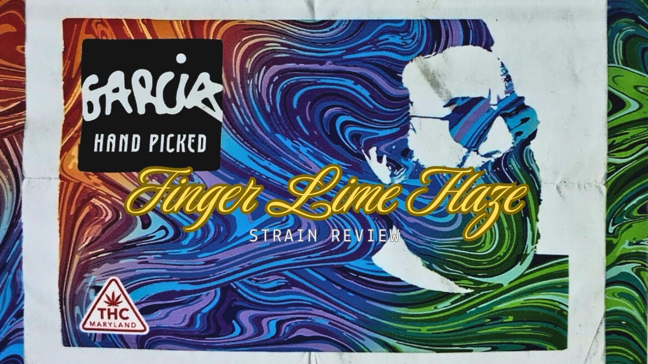 Finger Lime Haze Review: Garcia Hand Picked&rsquo;s Zesty Sativa Gem from Maryland
