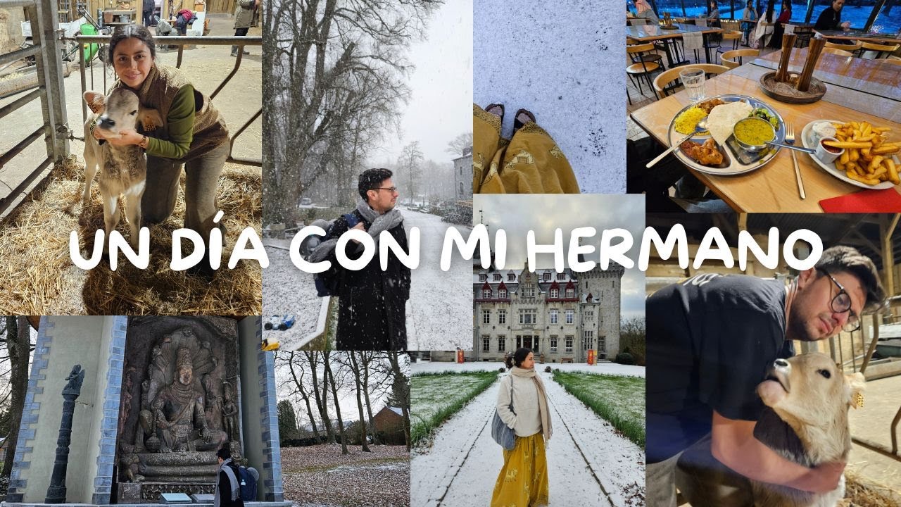 🏰 🚶🏻‍♂️ASÍ ES UN DÍA CON MI HERMANO 🐁🍟