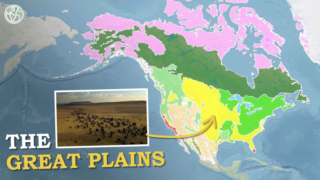 Каковы крупнейшие биомы Северной Америки?