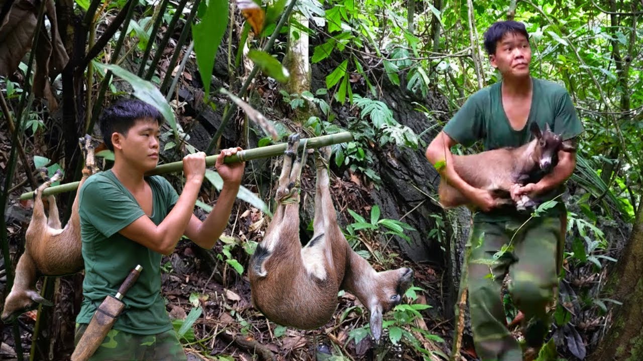 Survival in the Wild: Tracking Wild Goat Trails and Setting Traps for Food