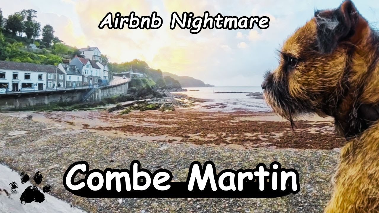 Dog-Friendly Devon | Combe Martin Beach Adventure + Airbnb Review