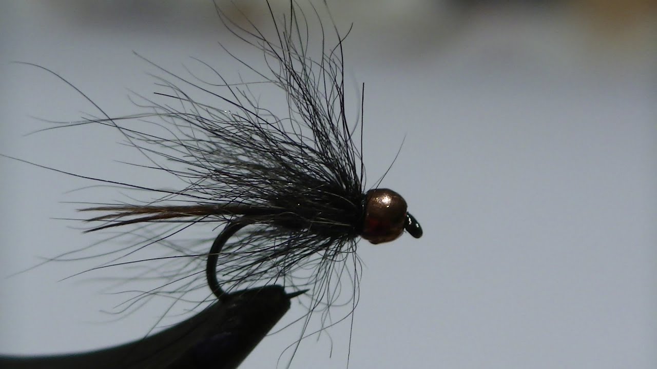 nymphe pour l'ouverture