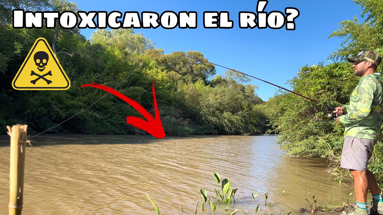 ACÁ NO QUIEREN PESCADORES | PESCANDO SOLO 