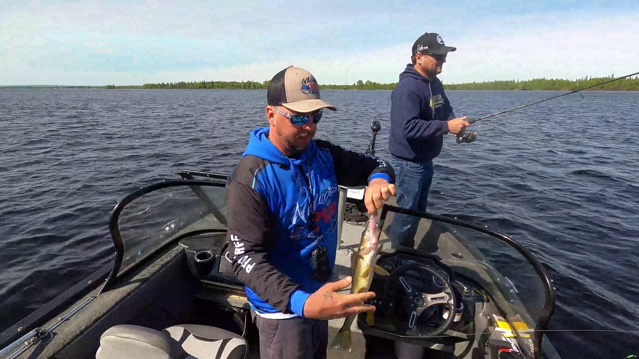 Pêche aux Dorés Sur Le Lac St Jean