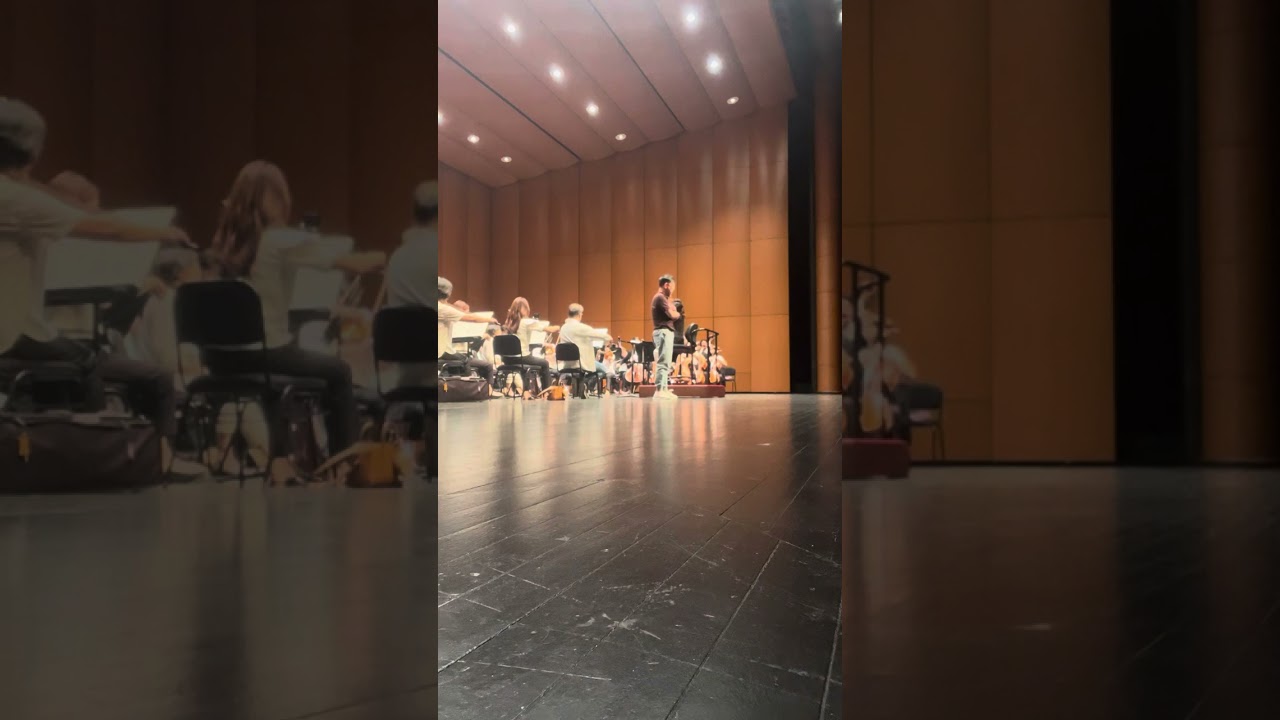 Vanne la tua meta gia vedo(Otello)