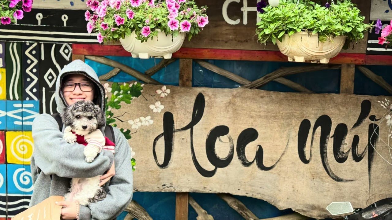 Du Xuân Bính Ngọ 2026 Tà Xùa & Bắc Hà #duxuan #taxua #bacha #giadinhsonnguyen 