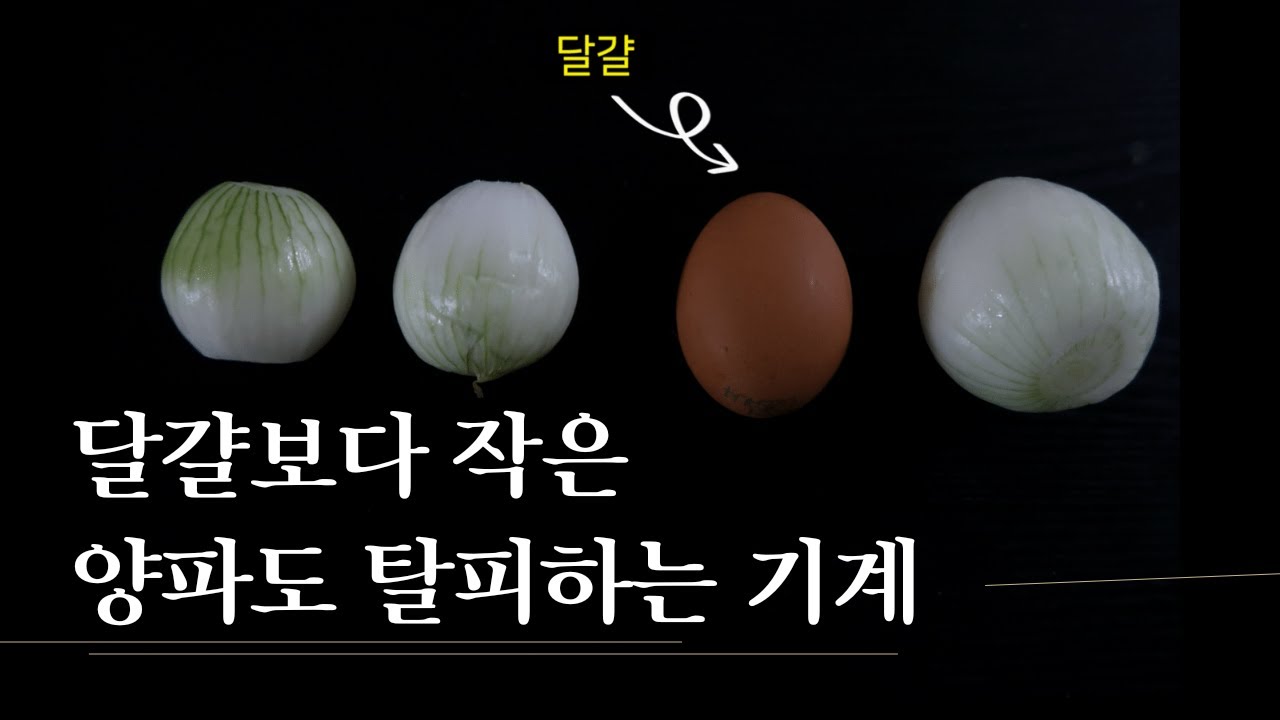 【19】 작은 양파도 척척 양파탈피기_민영기계(Minyoung Machinery)