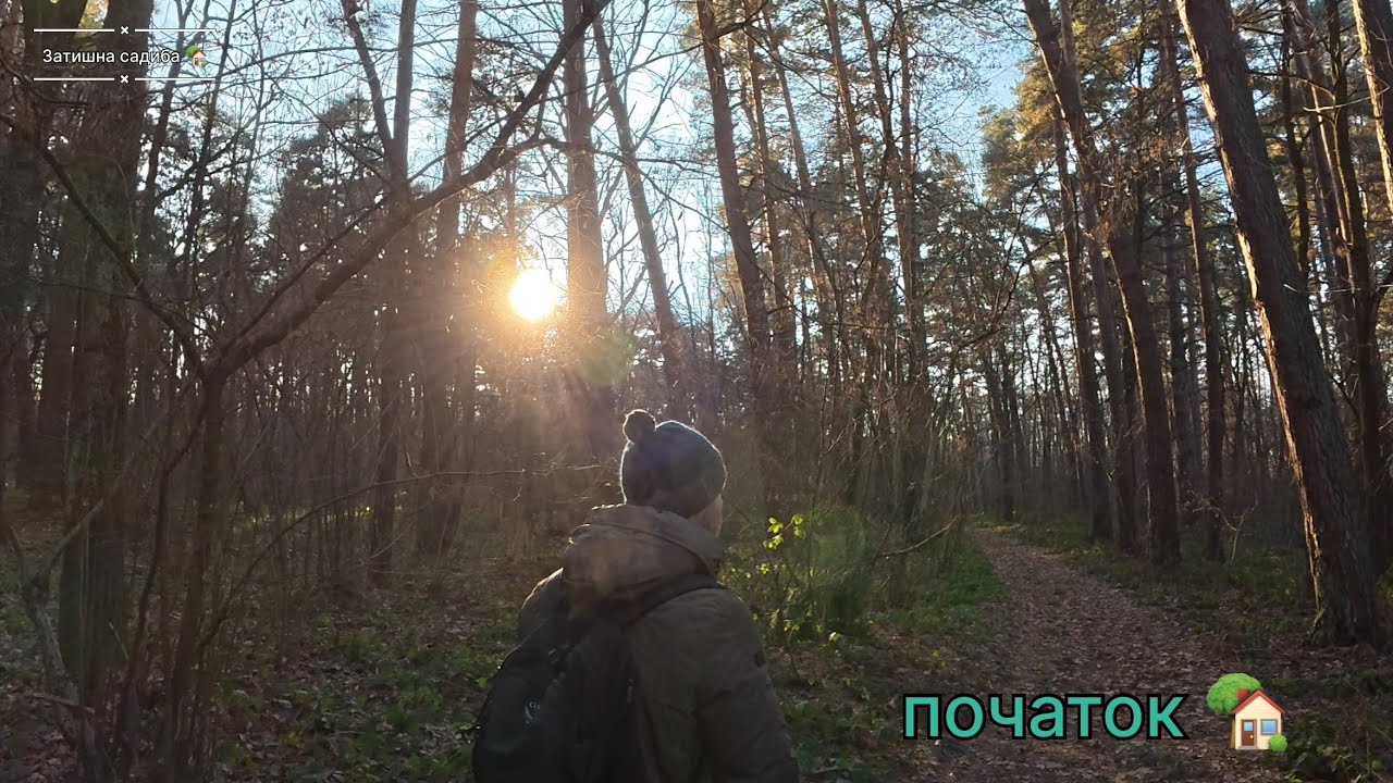 Купив земельну ділянку | Ліс, річка, і початок нової Затишної садиби 🏡