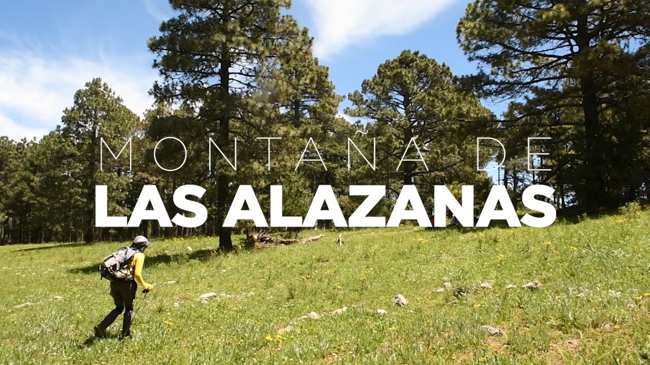 Cumbre en las Las Alazanas (Arteaga, Coahuila)