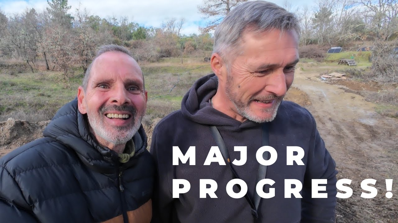 #31 Huge Breakthroughs on the Land (Woodland Clearing, Drainage & Old Machines.