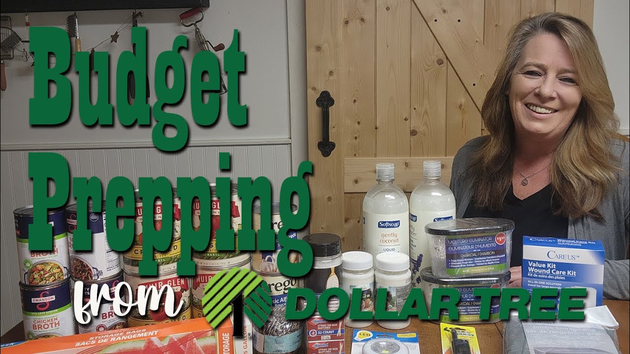 $30 Budget Prepper Pantry Stock Up from Dollar Tree