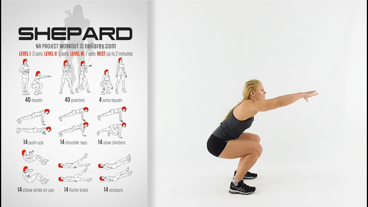 Fem Shepard Workout