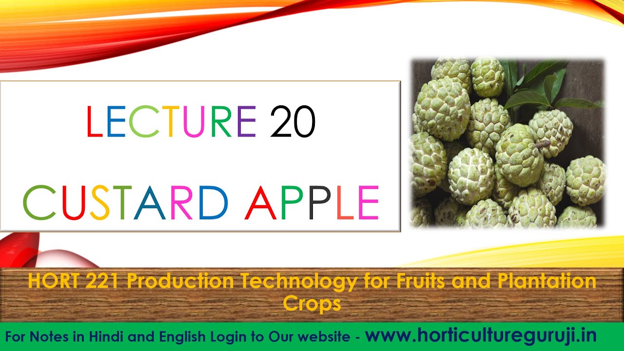 #HORT221 | Lecture 20 Custard Apple | सीता फल