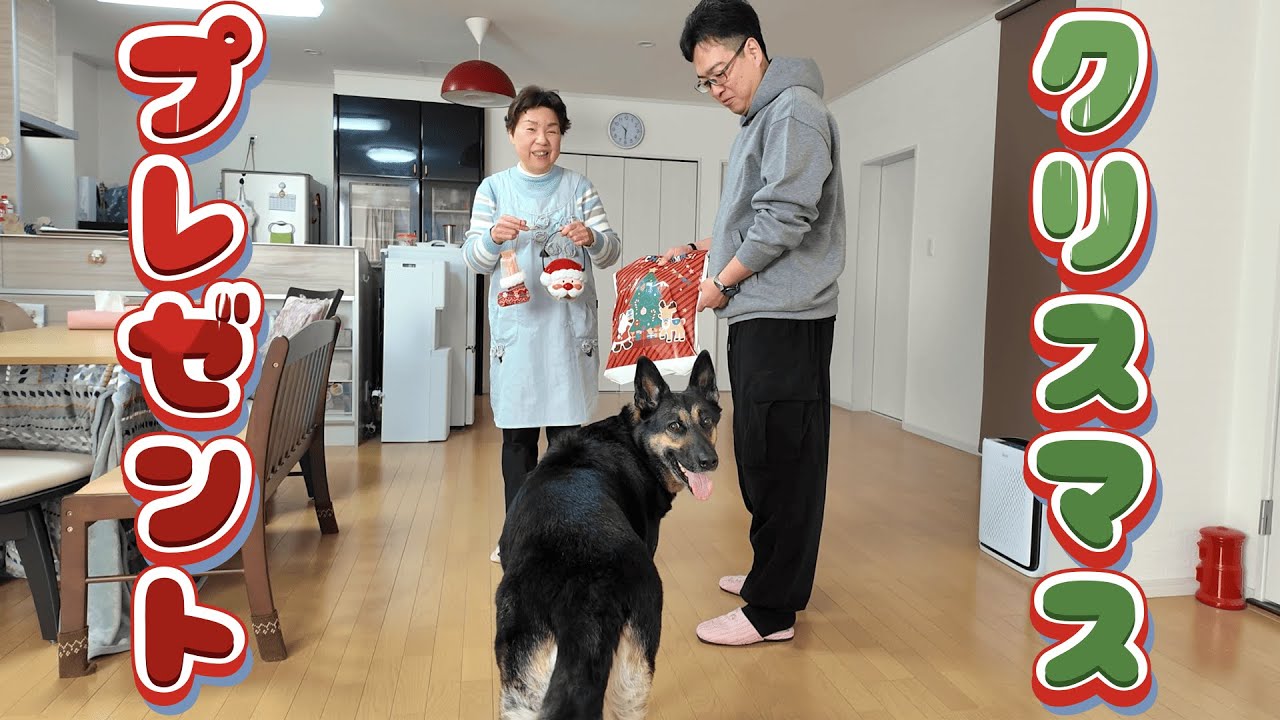 オババサンタが愛犬にくれたプレゼントが、世界に一つだけのものでしたw【ジャーマンシェパード】