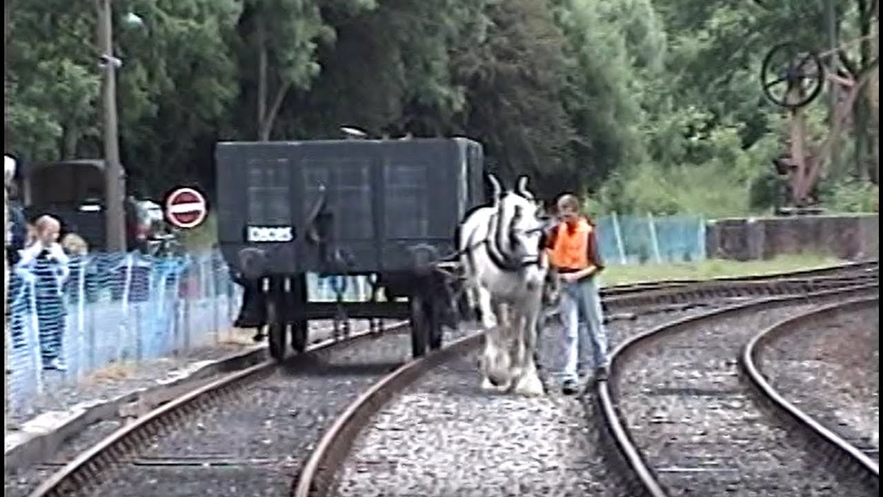 Severn Valley Railway Horse Day 2004