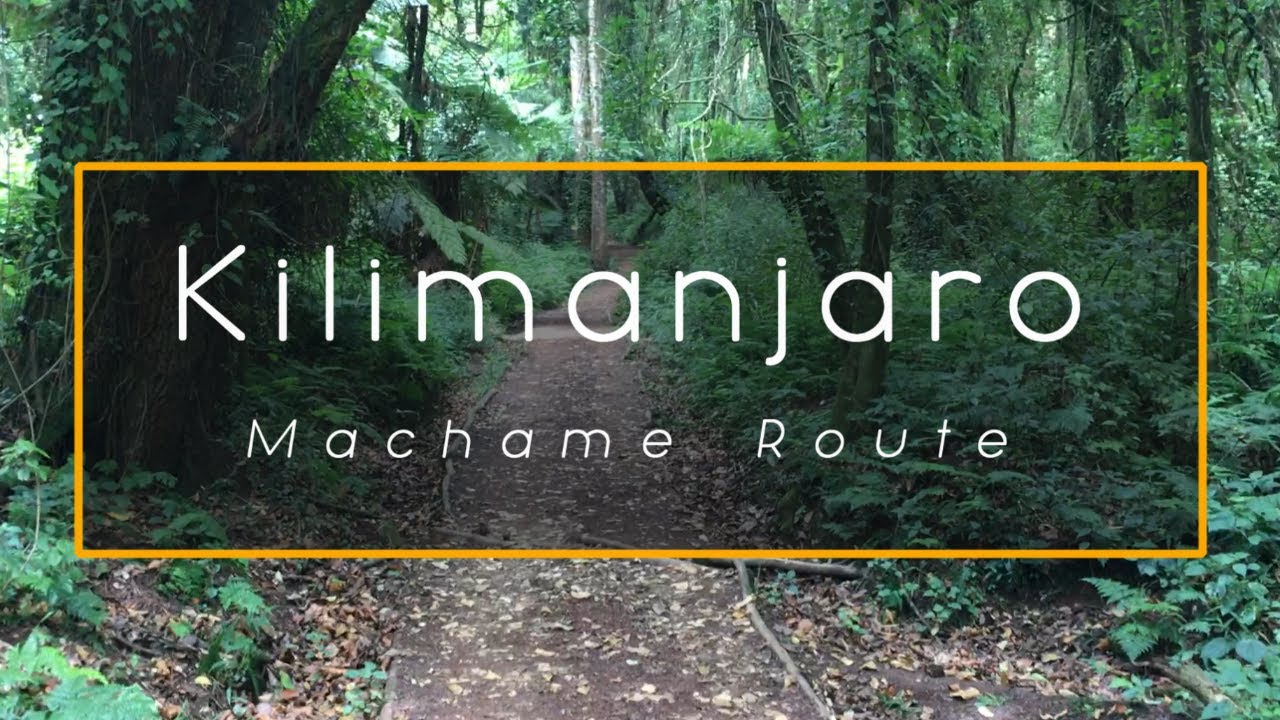 Kilimanjaro Machame Route - 4challenge
