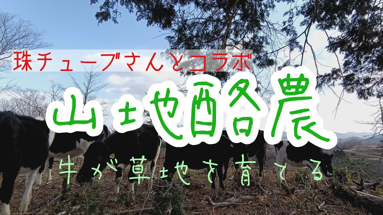 【コラボ企画】山地酪農〜たまの牧へ〜