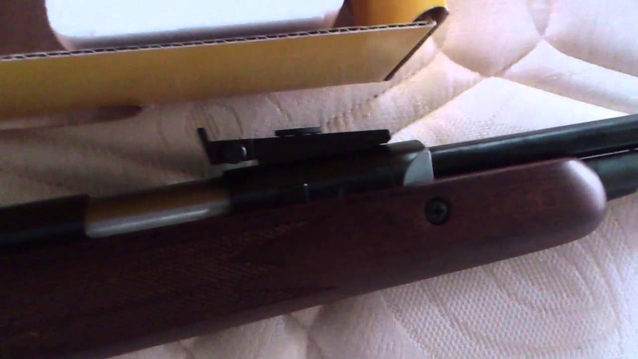 Diana RWS 460 Magnum