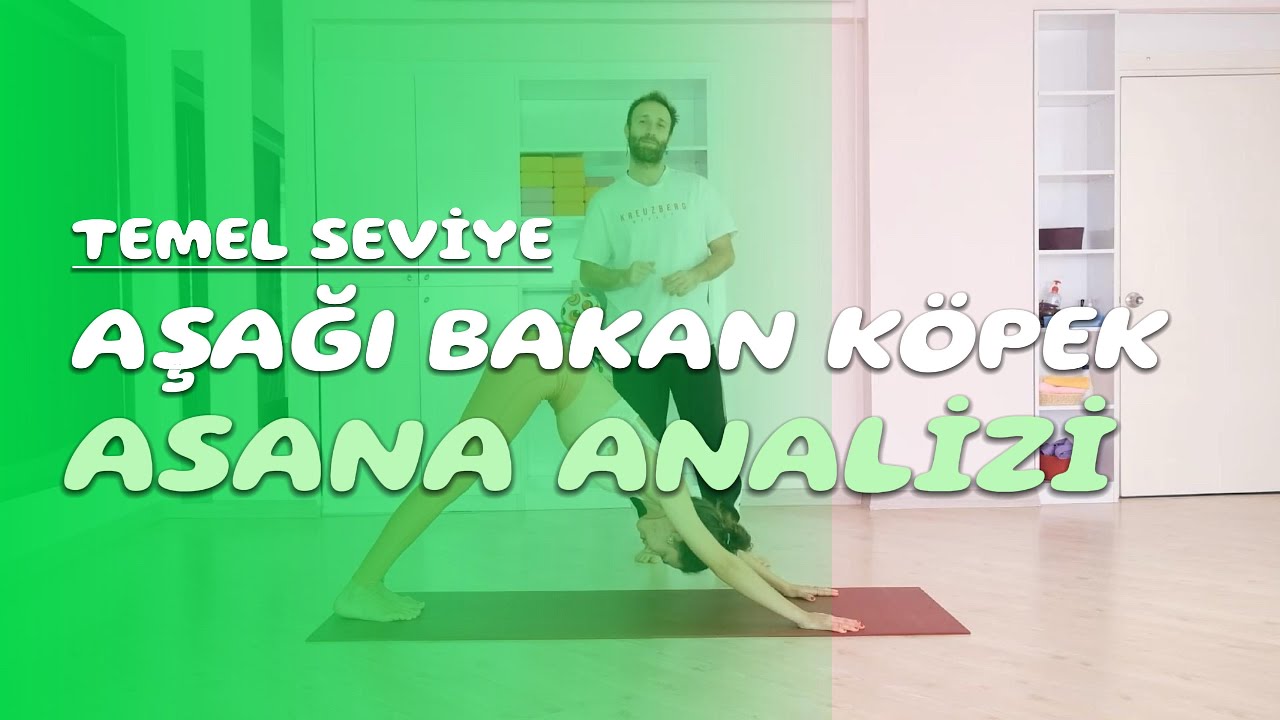 Asana Analizi - Aşağı Bakan Köpek Duruşu / 13.Analiz