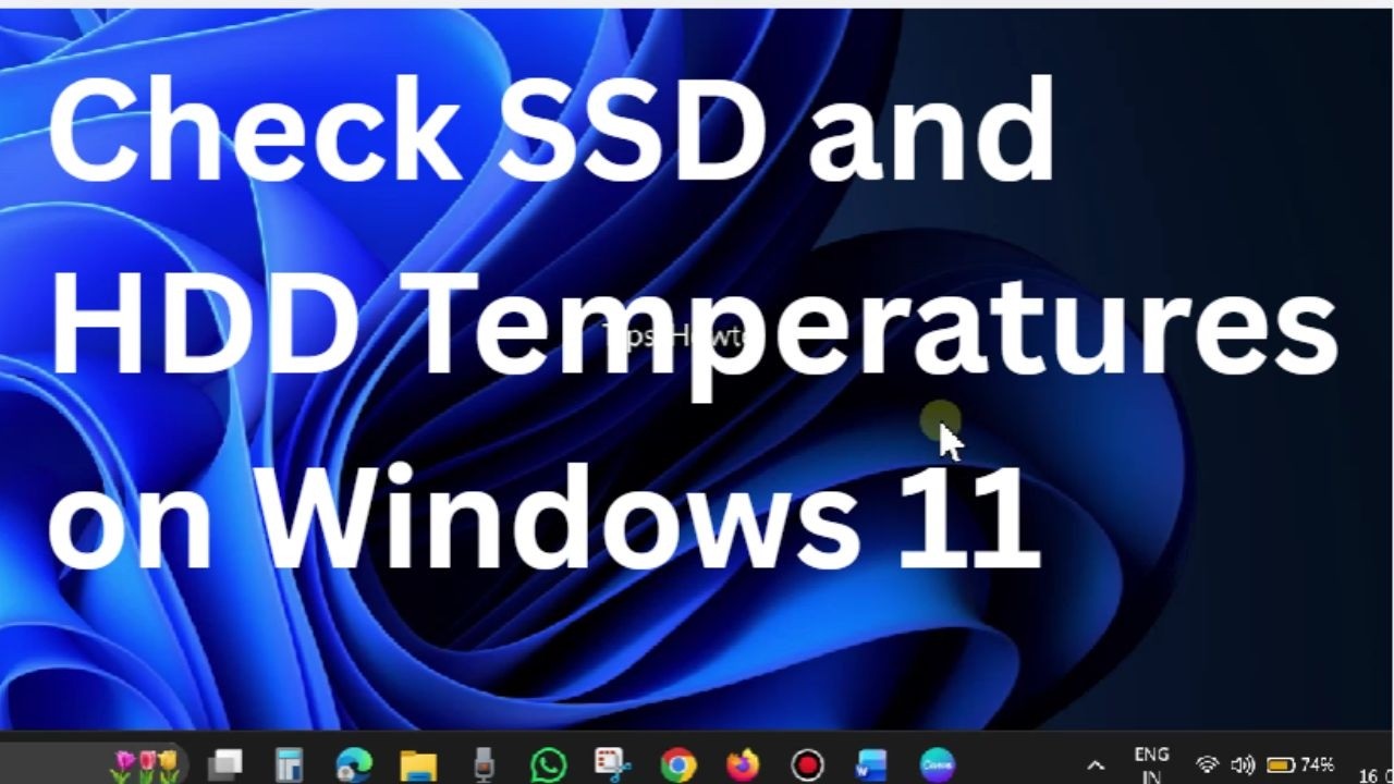 Лучший способ проверить температуру SSD и HDD в Windows 11 (руководство на 2026 год)