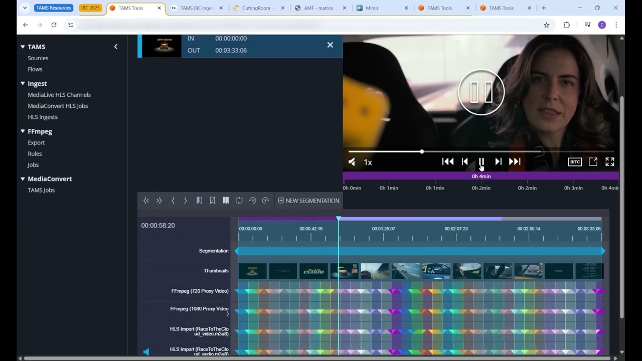 Fast-turnaround workflows using TAMS