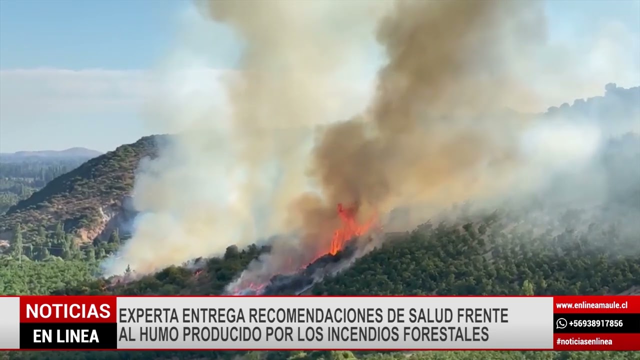Experta entrega recomendaciones de salud frente al humo producido por los incendios forestales