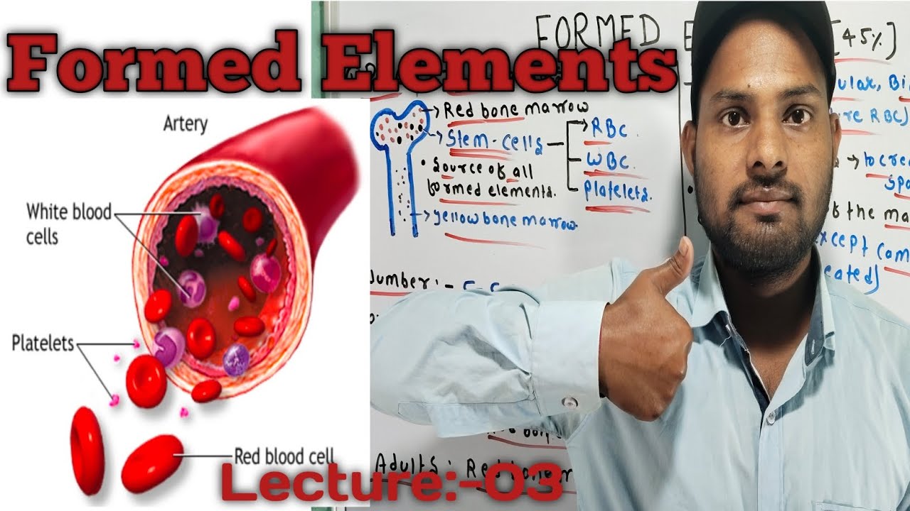 Formed Elements #bio #rbc #blood #nursing #knowledge #trending #motivation #medicalstudent #medicine