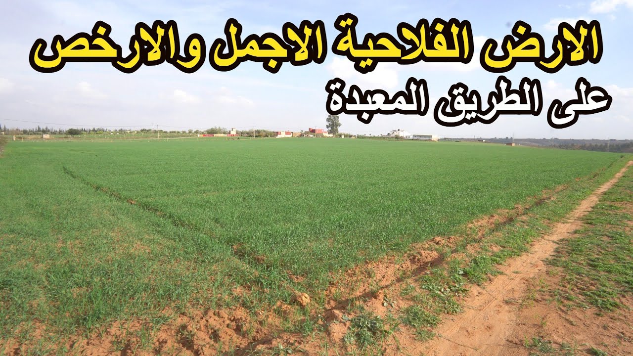 ✨زيارة السنة أرض فلاحية 14 هكتار رملية طريق معبدة محفظة و مكان رائع وثمن رخيييض ✨تيفلت