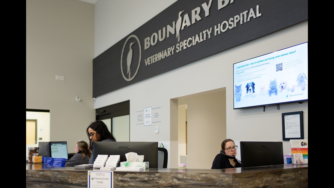 Client Service Representatives (CSR) - Careers at Boundary Bay Veterinary Specialty Hospital