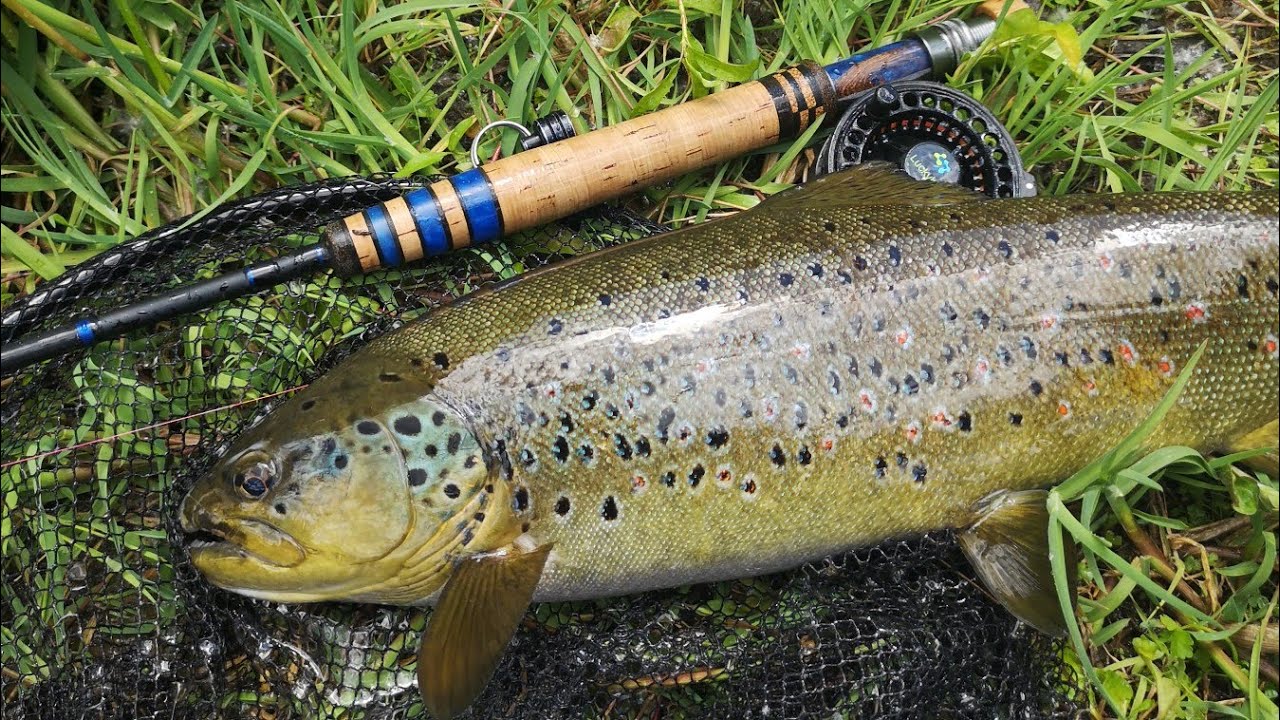 Pescando truchas a ninfa por el chorrón del rio tormes, primera jornada del año 2021 por este coto.
