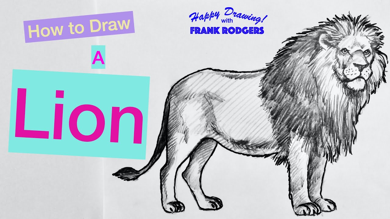 How to Draw a LION. Sketching Wild Animals No 1. Happy Drawing! with Frank Rodgers