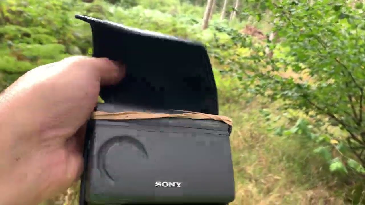 DXing in the woods gone wrong...