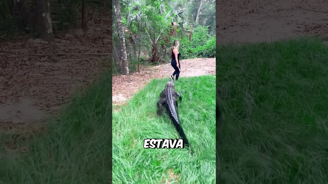 Ele Tentou ATACAR a Mulher! #curiosidades #incrivel #animal