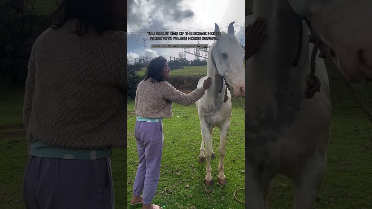 Horse Riding Guided Tours in Ooty | Ooty Horse Tours | Best Experience #ootyhills #ootyhillstation