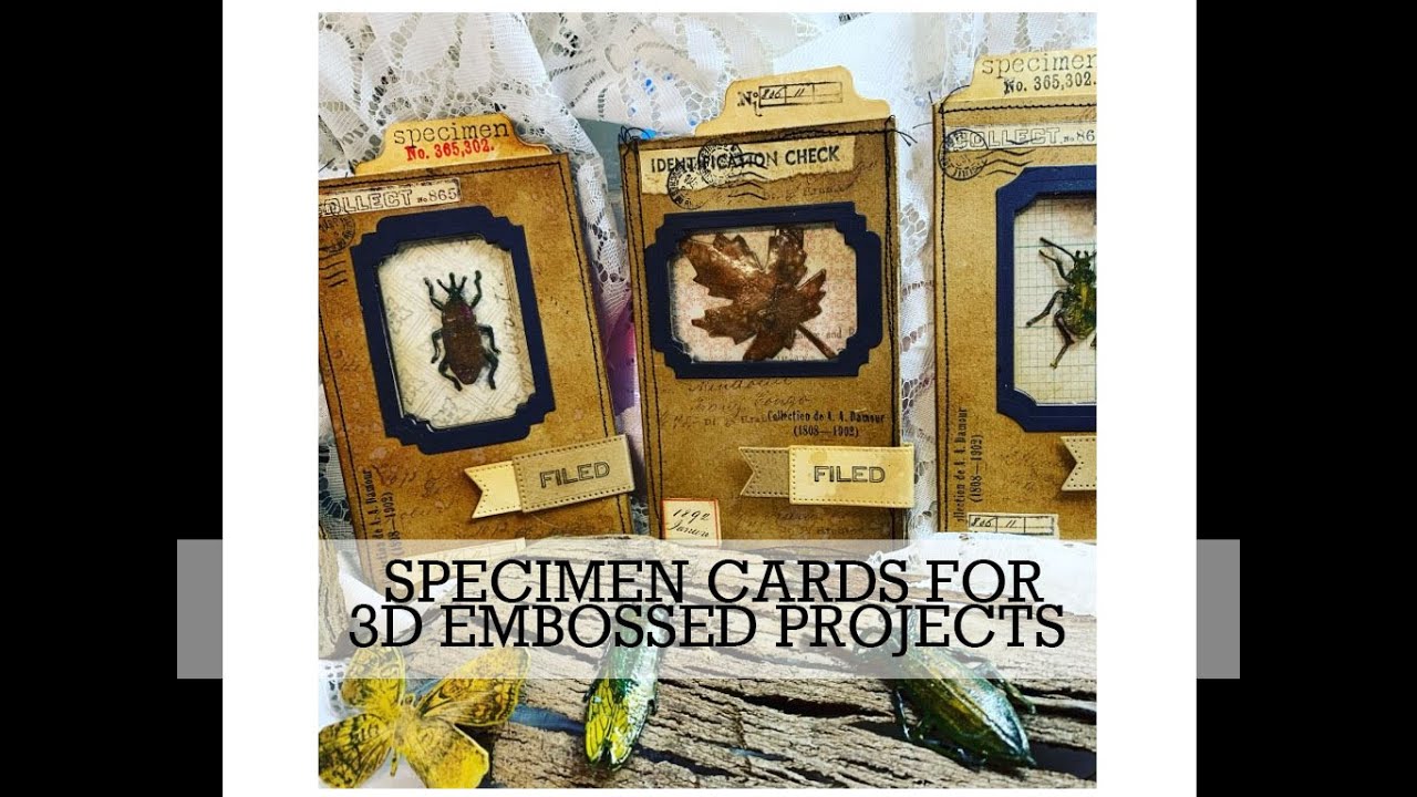 SPECIMEN CARDS For holding 3D Embossed items (bugs)