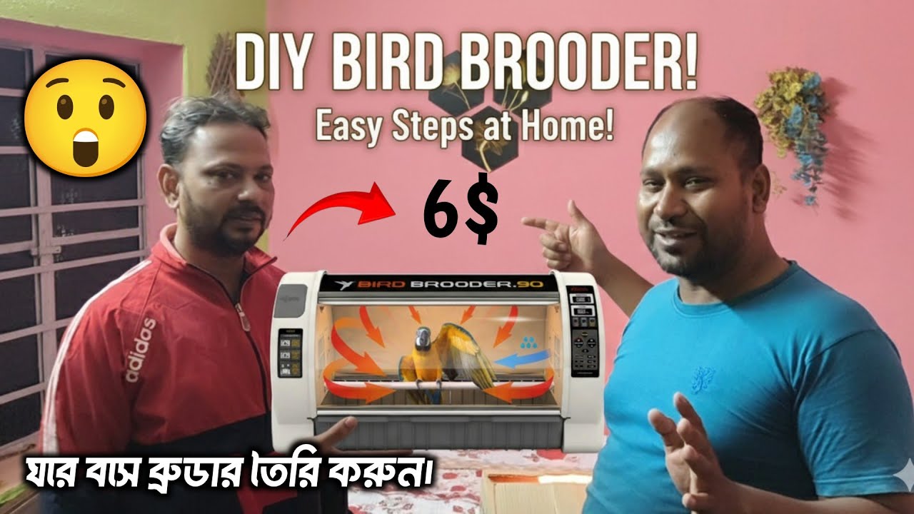 খুব সহজে আধুনিক ব্রুডার মেশিন তৈরি করলাম | Step-by-Step Guide