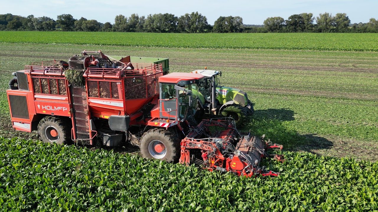 HOLMER TERRA DOS T3 am Rüben roden / Abfahrer 2 x CLAAS / 4K