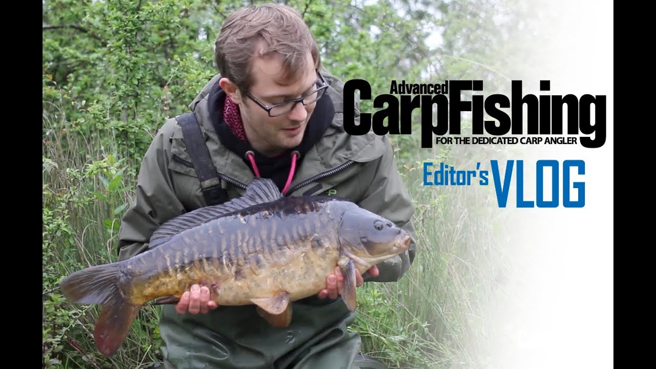 Max's Diary Part 02 - Gaining momentum