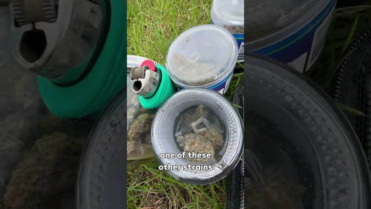 Peanut Butter & Jealousy