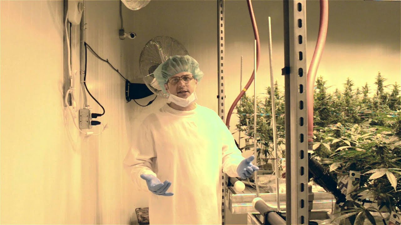 GGS Metal Rolling Benches / Growing Tables for Commercial Marijuana