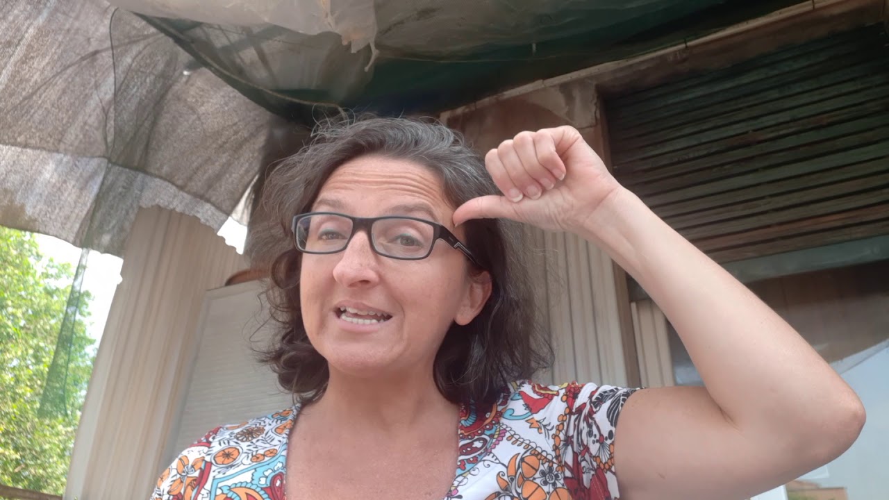 LIS Video n. 11 - Le 4 stagioni dell'anno